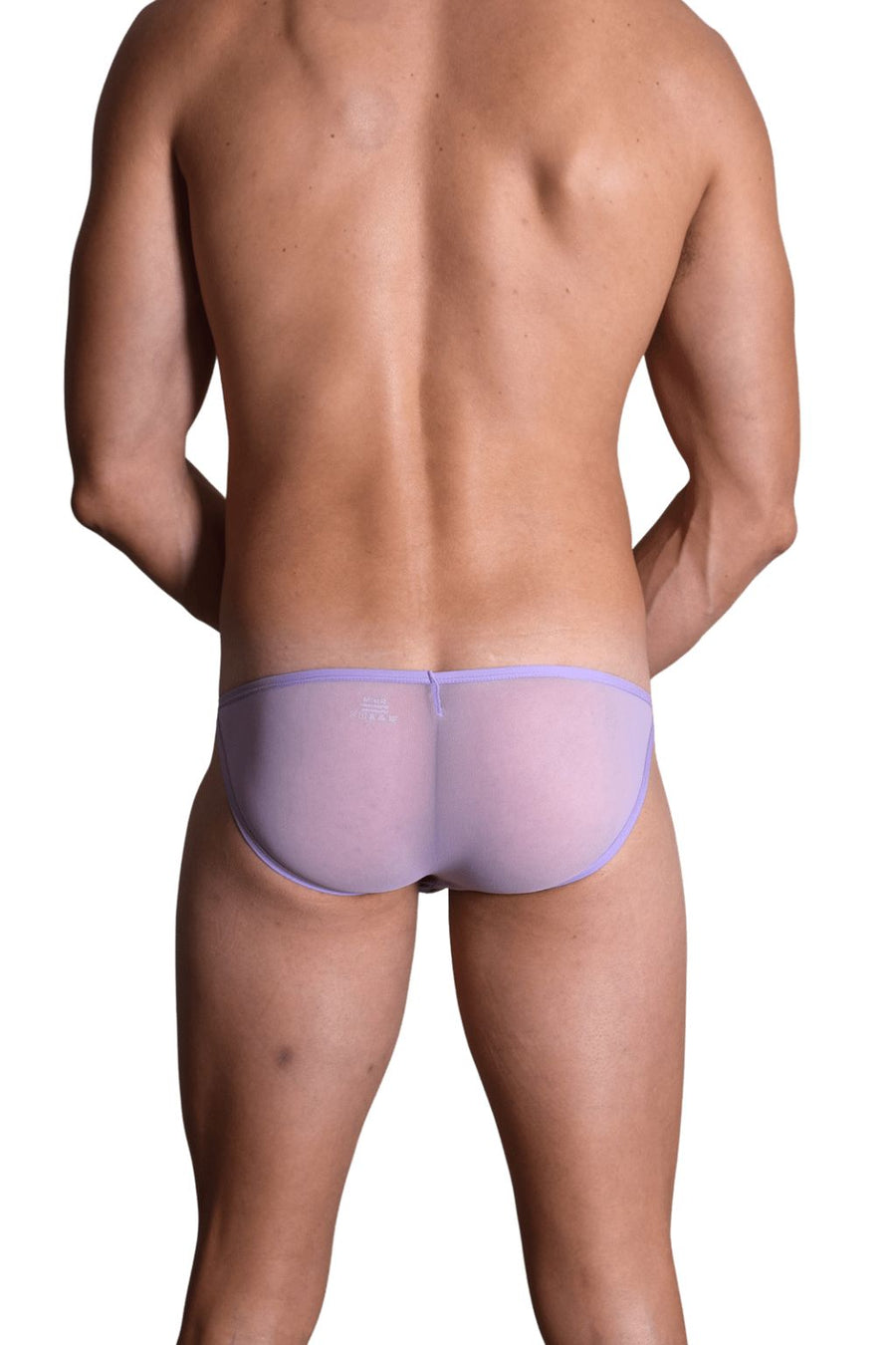 N2N Sheer Bikini purple Briefs 