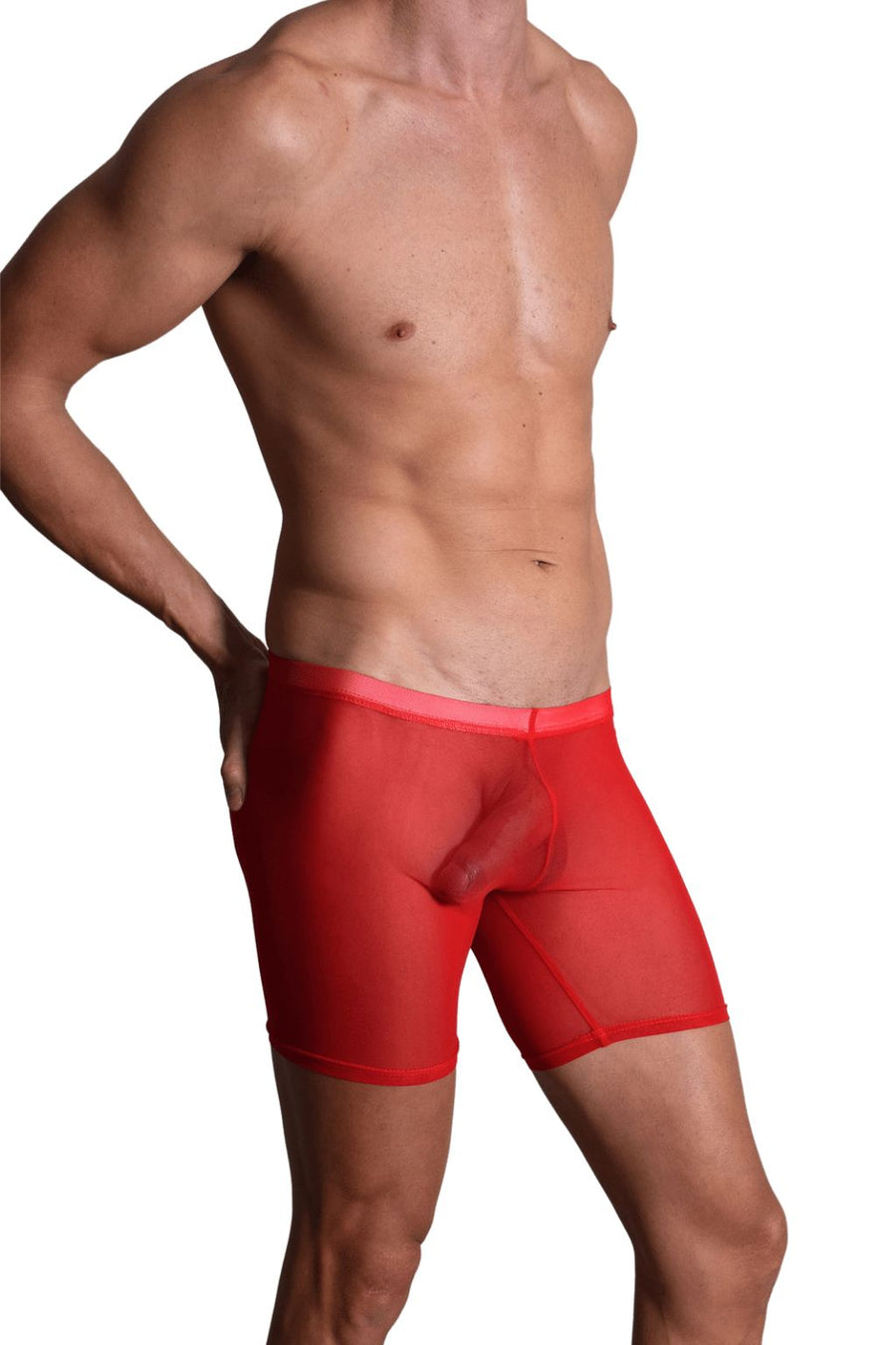 🎁 BfM Mens High-Waist Ultra Sheer Boxer Shorts (100% off)