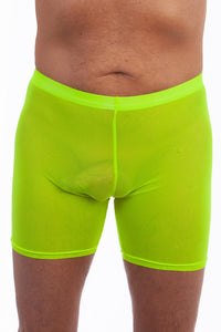 Sheer hot sale boxer briefs