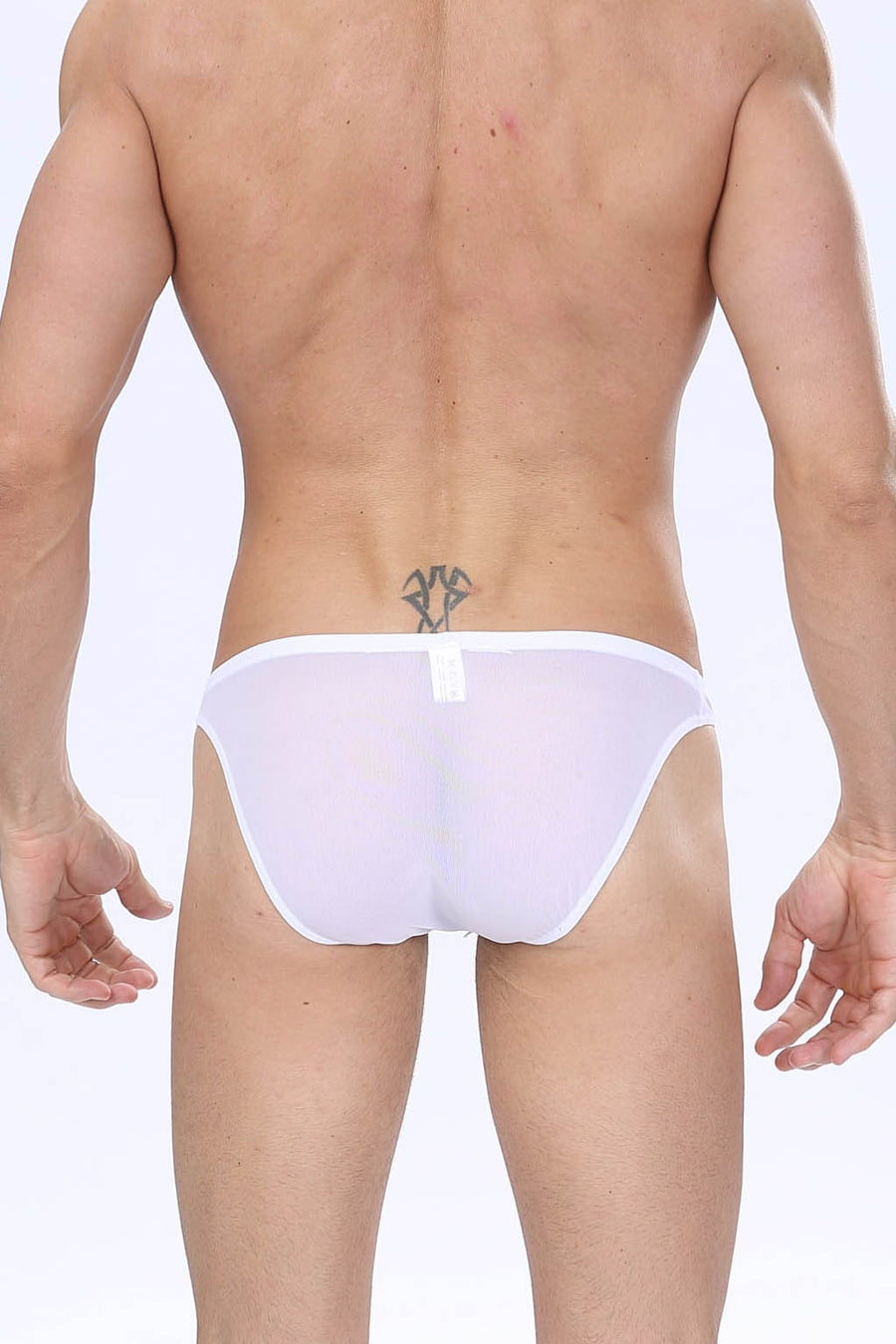 Manview Mens Sheer Net Bikini Lowrise Pouch Underwear