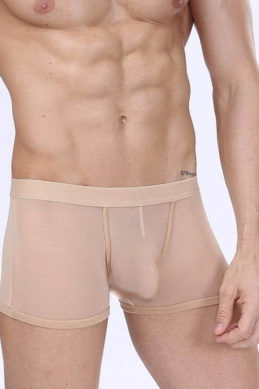 Manview Mens Sheer Net Boxer Lowrise Pouch Underwear – Bodywear
