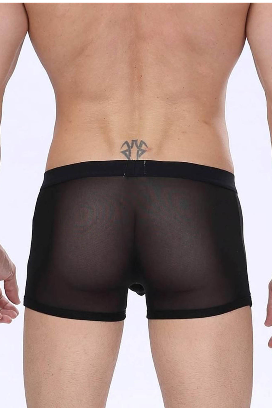 Manview Mens Sheer Net Boxer Lowrise Pouch Underwear – Bodywear for Men